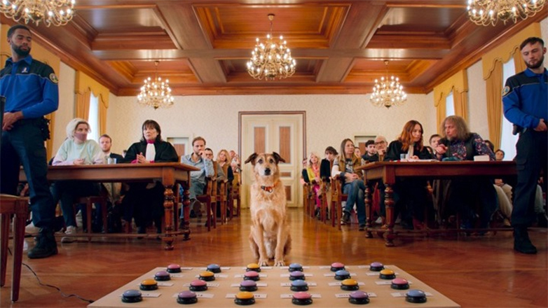 Ταινίες Πρώτης Προβολής: Ο Μπραντ Πιτ στο βολάν κι ένας σκύλος στο εδώλιο του κατηγορούμενου