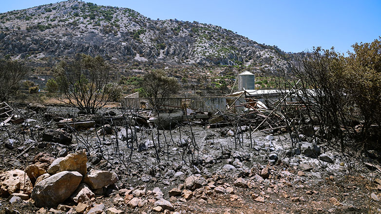 Πυρκαγιά στη Χίο: Συνεχείς αναζωπυρώσεις – Επιχειρούν ισχυρές δυνάμεις