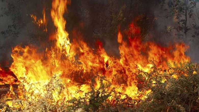 Φωτιά στον Δρυμό Θεσσαλονίκης