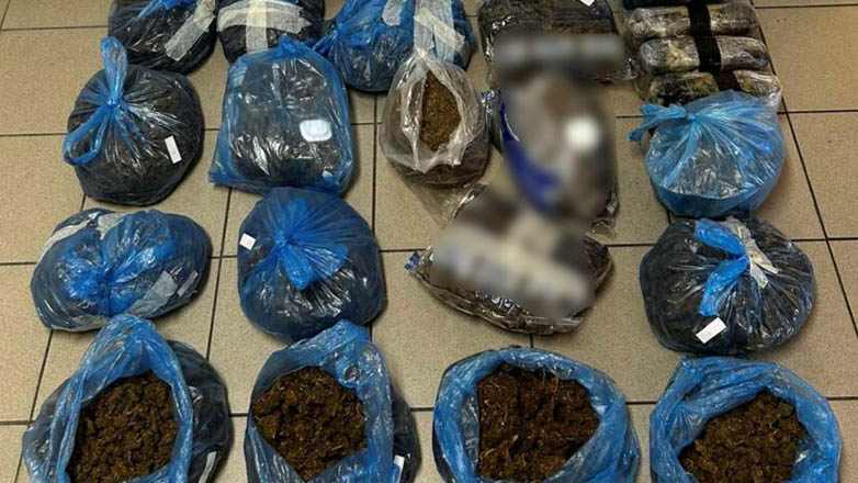 Μεσσηνία: Εντοπίστηκαν 24 κιλά κάνναβης κρυμμένα σε θάμνους