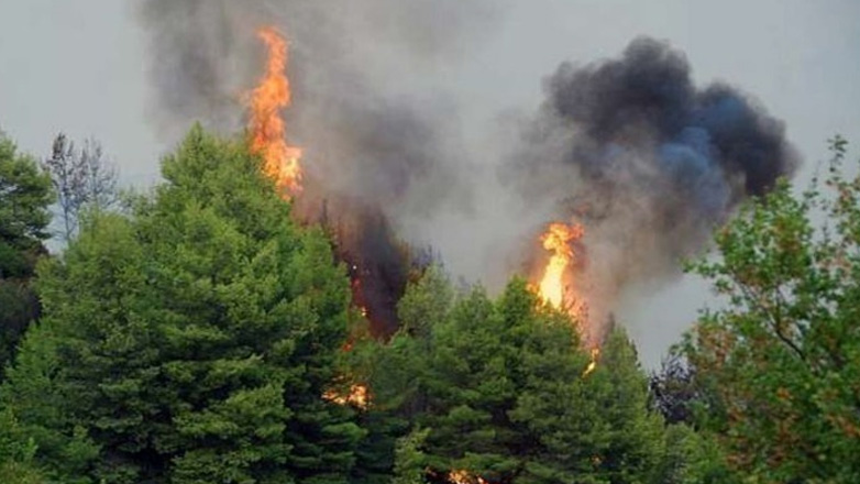 Πολύ υψηλός κίνδυνος πυρκαγιάς σήμερα σε Αττική, Εύβοια, Λακωνία και Βόρειο Αιγαίο