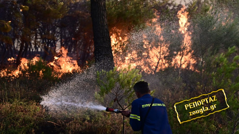 Πύρινη απειλή πάνω από τον Δήμο Διονύσου