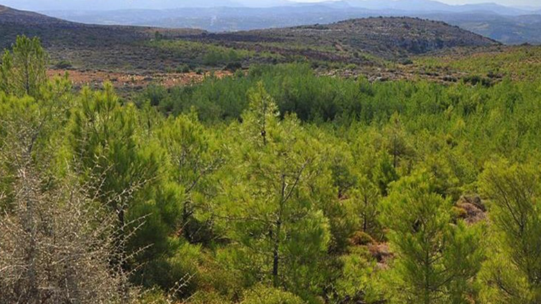 Νέα απαγόρευση της κυκλοφορίας λόγω κινδύνου πυρκαγιάς σε δασικές περιοχές της Χαλκιδικής