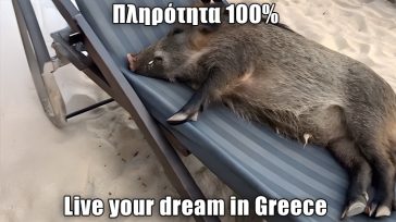 Το σκίτσο της ημέρας – 29/06/25