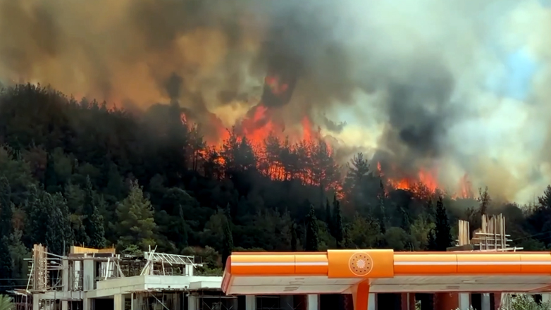 Φωτιά σε περιαστικό δάσος στην Καβάλα