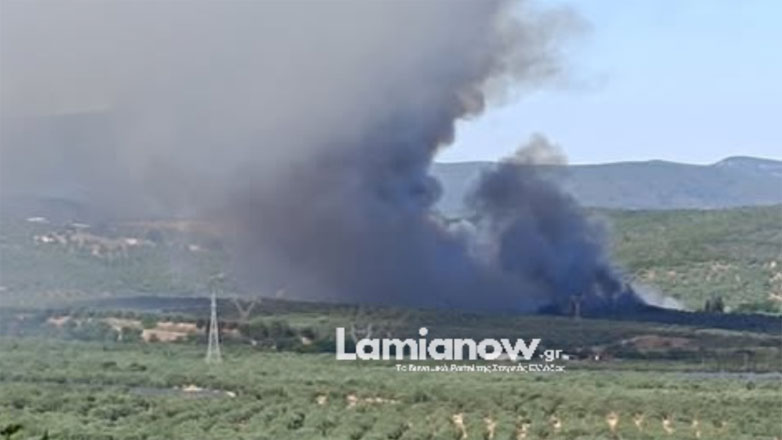 Περιορίστηκε η πυρκαγιά στο Αχλάδι Φθιώτιδας