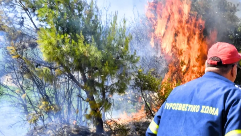 Φωτιά ξέσπασε στη Μεσαρά της Κρήτης