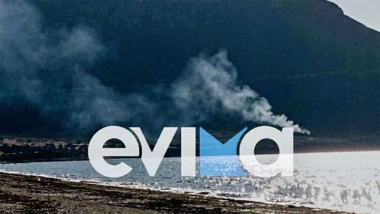 Φωτιά σε παραλία έξω από τη Χαλκίδα