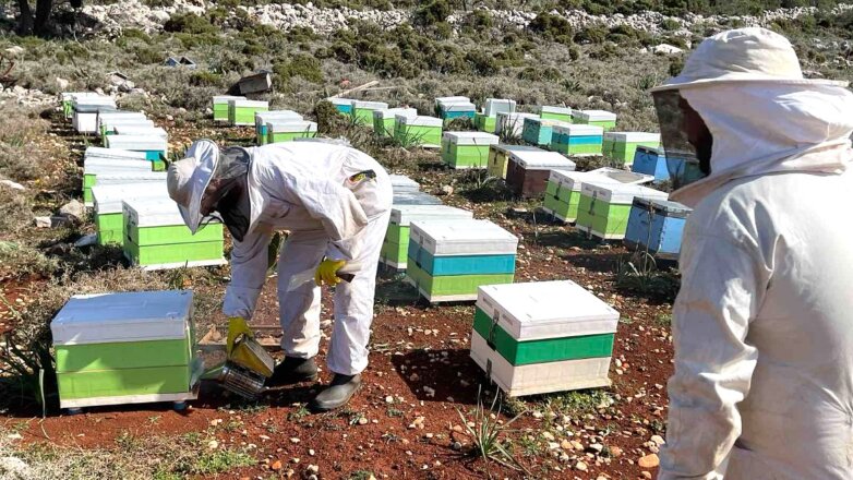 Η InterMed στηρίζει τη μελισσοκομία στο Καστελλόριζο