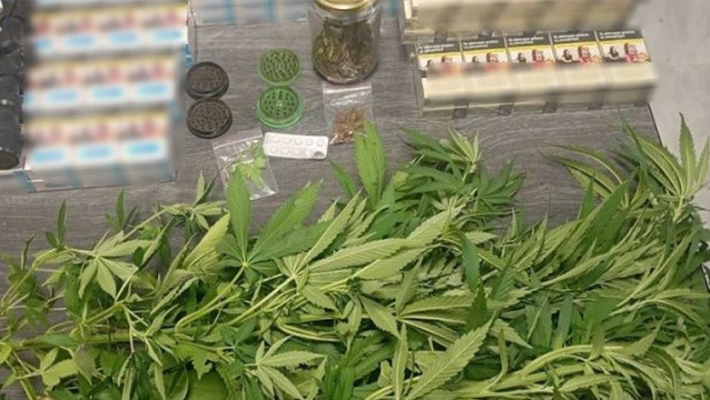 Καλλιεργούσε τον προσωπικό του… χασισόκηπο