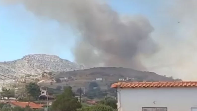 Δασική πυρκαγιά στην Αλυκή Βοιωτίας – «Δεν κινδυνεύει ο οικισμός Άγιος Νικόλαος»