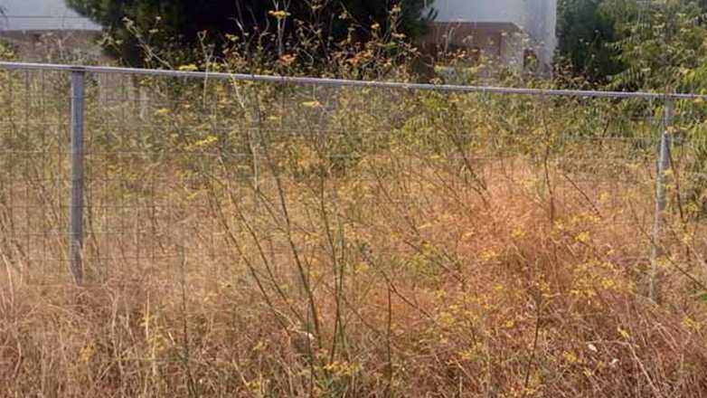 Σε 18 μέρες έγιναν 3.748 καταγγελίες για ακαθάριστα οικόπεδα