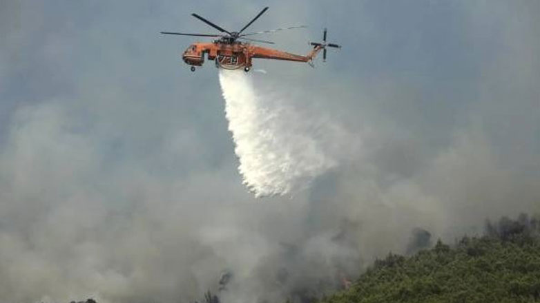 Φωτιά σε δασική έκταση στην Πιερία