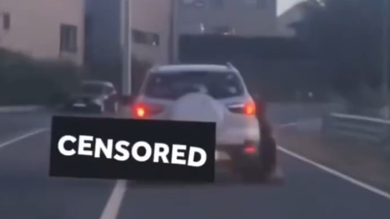 Βέλγιο: Άνδρας βασάνισε σκύλο μέχρι θανάτου