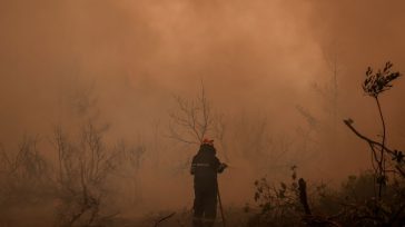 Φωτιά στην περιοχή Κοκκίνω Λάρισας