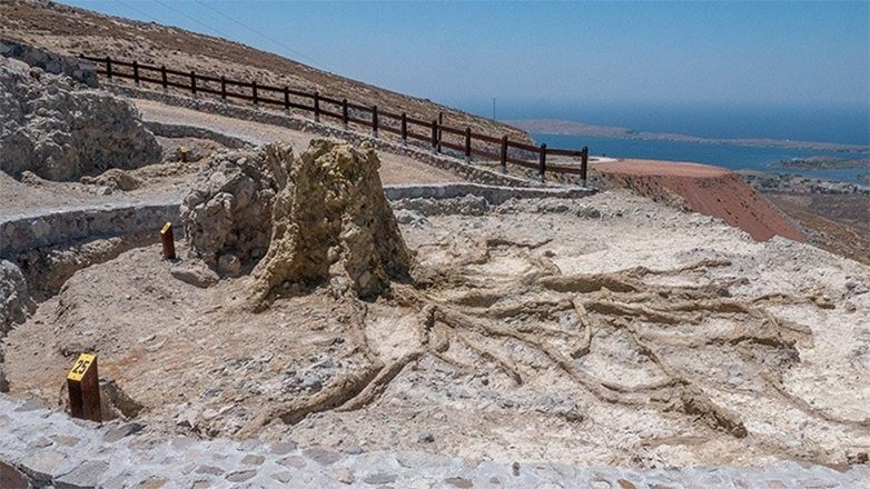 Γνωρίστε τα δάση που είχε η Λέσβος πριν από εκατομμύρια χρόνια