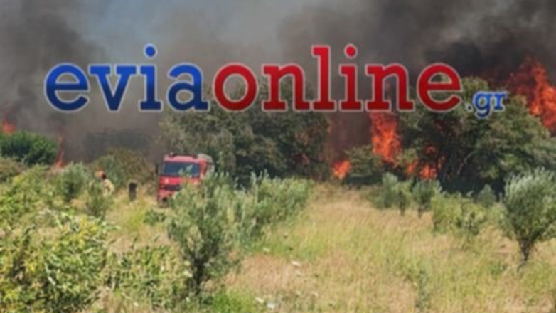 Συνελήφθη 59χρονος για την πυρκαγιά στον Κάμπο Αλιβερίου