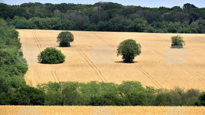 Βουλγαρία: Οι συναλλαγές γεωργικής γης σημειώνουν ετήσια αύξηση 5,9%