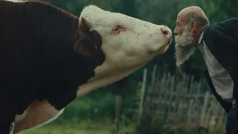 Στο ντοκιμαντέρ «Better Go Mad in the Wild» το κορυφαίο βραβείο του Φεστιβάλ του Κάρλοβι Βάρι Στο ντοκιμαντέρ «Better Go Mad in the Wild» το κορυφαίο βραβείο του Φεστιβάλ του Κάρλοβι Βάρι