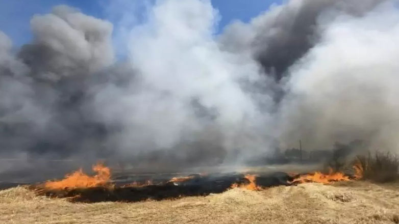 Υπό έλεγχο η φωτιά στο Κεράμι Λέσβου