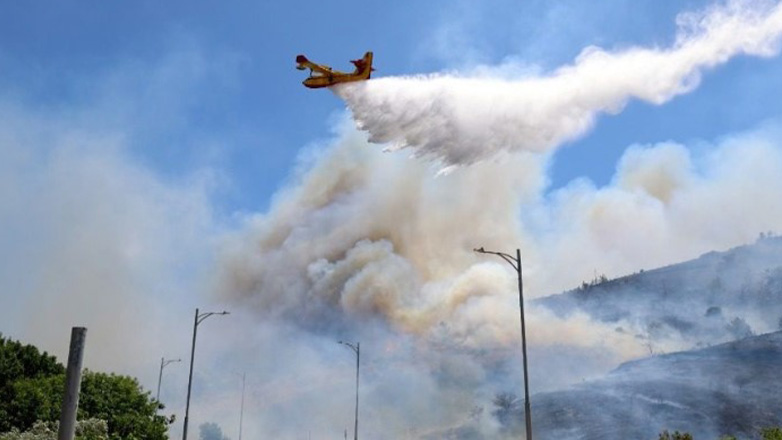 Εύβοια: Πυρκαγιά κοντά στην Ιστιαία