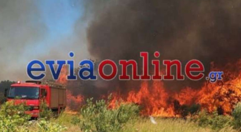 Ελεύθερος ο 59χρονος υπαίτιος της μεγάλης πυρκαγιάς στο Αλιβέρι