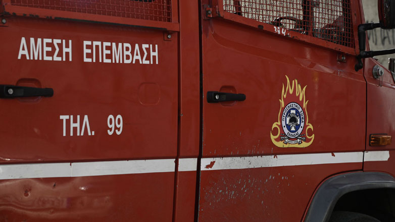 Πυρκαγιά στο Άλσος Βεΐκου