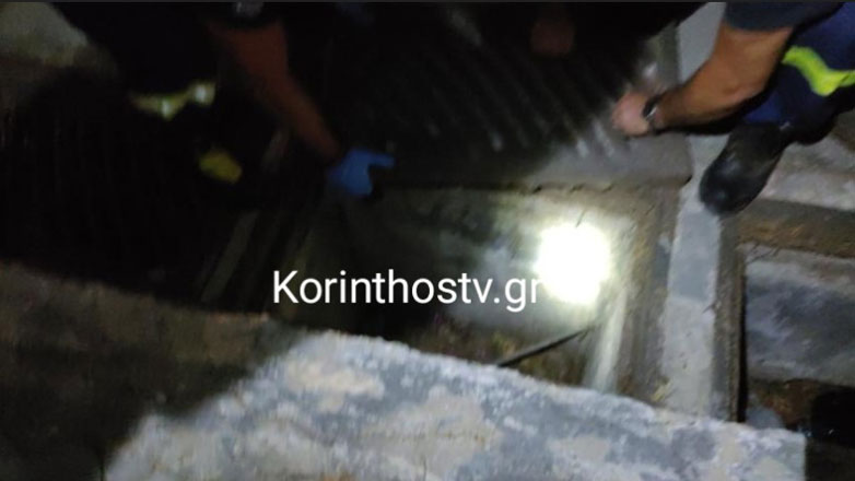 Οι πυροσβέστες έσωσαν τέσσερα μικρά γατάκια από φρεάτιο