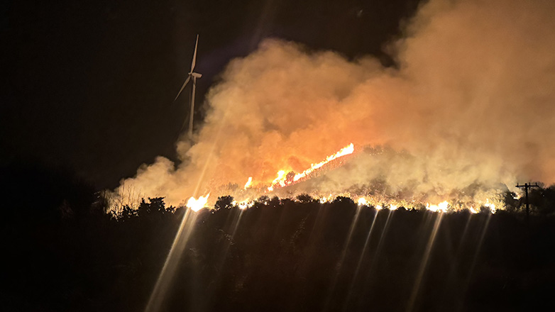 Ναύπακτος: Πυρκαγιά στη Μακύνεια – Μήνυμα από το 112