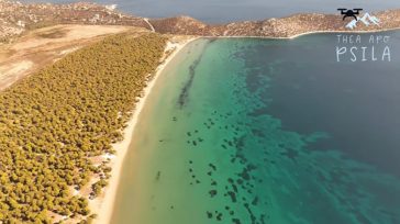 Σχινιάς Μαραθώνα: Ο καλοκαιρινός προορισμός που συνδυάζει πεύκο, θάλασσα και… θέα από ψηλά