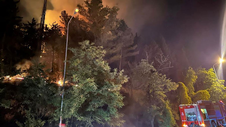 Υπό πλήρη έλεγχο η πυρκαγιά στους Λιγκιάδες Ιωαννίνων