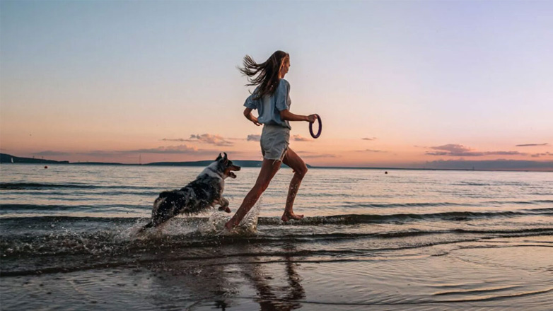 Βασικές εντολές που πρέπει να γνωρίζει ο σκύλος σας πριν πάτε στη θάλασσα Βασικές εντολές που πρέπει να γνωρίζει ο σκύλος σας πριν πάτε στη θάλασσα