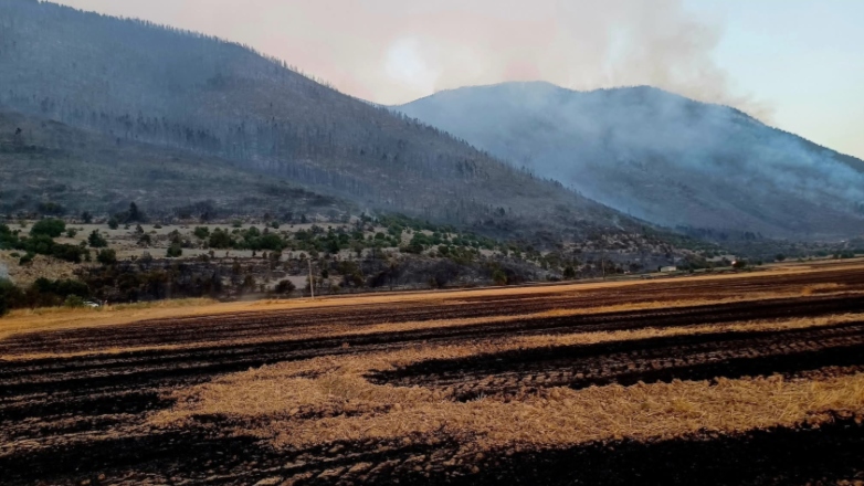 Χιλιάδες στρέμματα δάσους κάηκαν στην Κορινθία