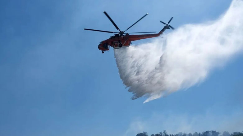 Μεγάλη φωτιά σε δασική έκταση στην Αρχαία Ολυμπία