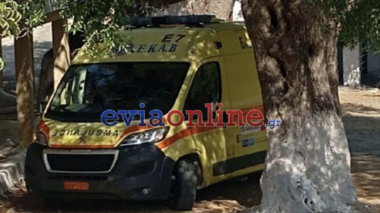 Βρέθηκαν οι δύο 60χρονοι περιπατητές που είχαν χαθεί στη Δίρφη Ευβοίας