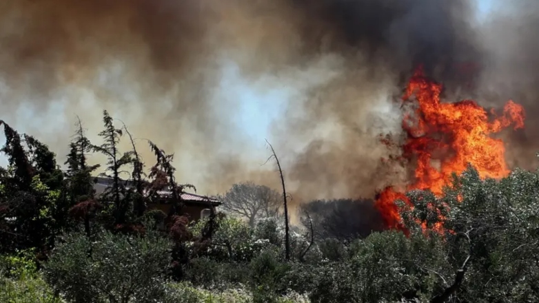 Ανυπολόγιστη ζημιά στο περιβάλλον από τη φωτιά στον Φενεό