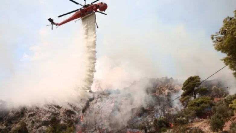 Λαμία: Σε εξέλιξη η μάχη με τις φλόγες στην Ευρυτανία