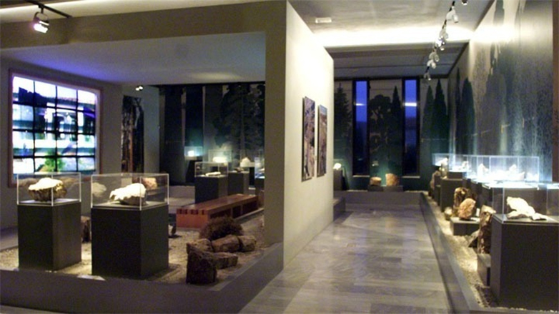 Δράσεις γευσιγνωσίας στο Μουσείο Φυσικής Ιστορίας Απολιθωμένου Δάσους Λέσβου, στο Σίγρι