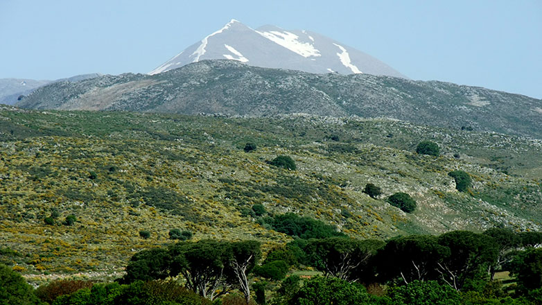 Αγνοείται ζευγάρι Ελλήνων στον Ψηλορείτη