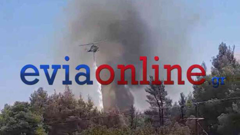 Νέες αναζωπυρώσεις στην Εύβοια