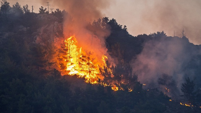 Ολονύχτια μάχη με τις φλόγες στην Εύβοια