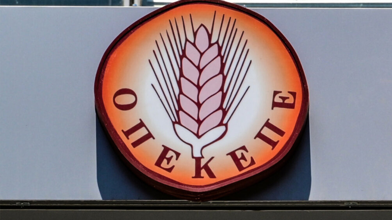 «O ΟΠΕΚΕΠΕ από την αρχή έκλεινε το μάτι στους απατεώνες»