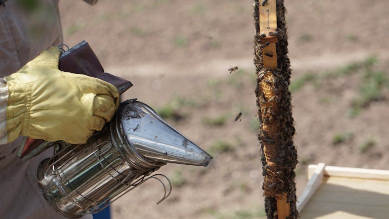Πυροσβεστική: Τρεις συλλήψεις για εμπρησμό