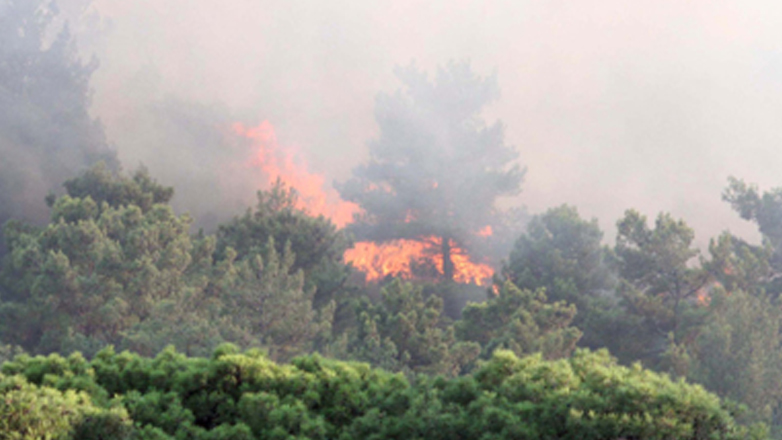 Αναζωπύρωση της πυρκαγιάς στα Κύθηρα
