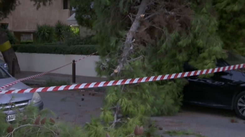 Έπεσε δέντρο στο Παλαιό Φάληρο