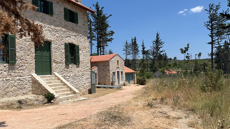 Αυτοψία Λίνας Μενδώνη στο Τατόι: Σε πλήρη εξέλιξη τα έργα στο π. βασιλικό κτήμα με ορίζοντα απόδοσης των μουσειακών υποδομών το 2026