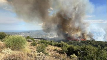 Υπό έλεγχο η φωτιά στην περιοχή της Αγιάς Λάρισας