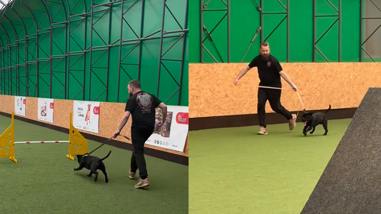 Όταν αγαπάς το Agility αλλά προτιμάς τα κοντάρια