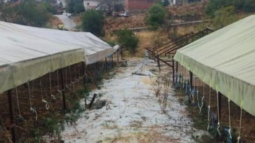 Καλοκαιρινό μπουρίνι και χαλαζόπτωση «σάρωσαν» τις καπνοκαλλιέργειες