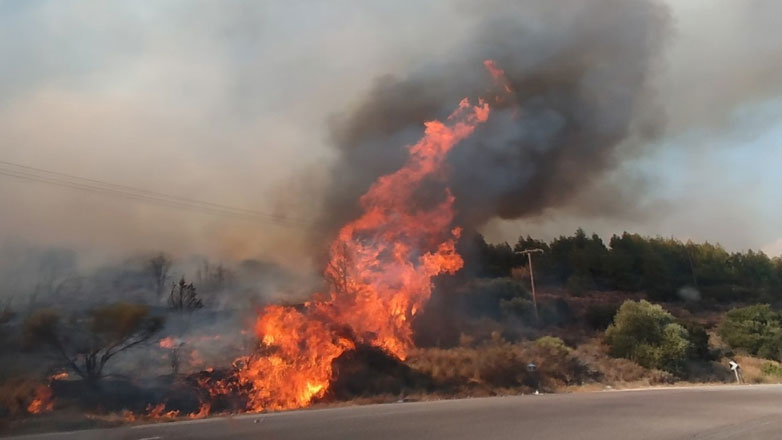 Φωτιά στην Αιτωλοακαρνανία – Μήνυμα «112» για εκκένωση οικισμών